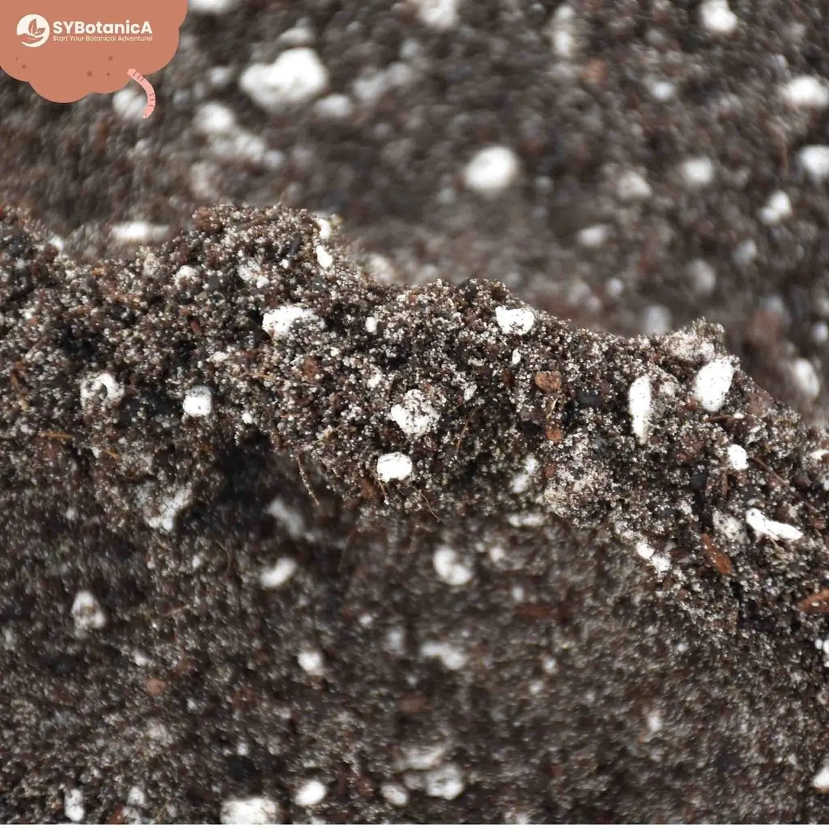 Fern Soil Mix on white background.