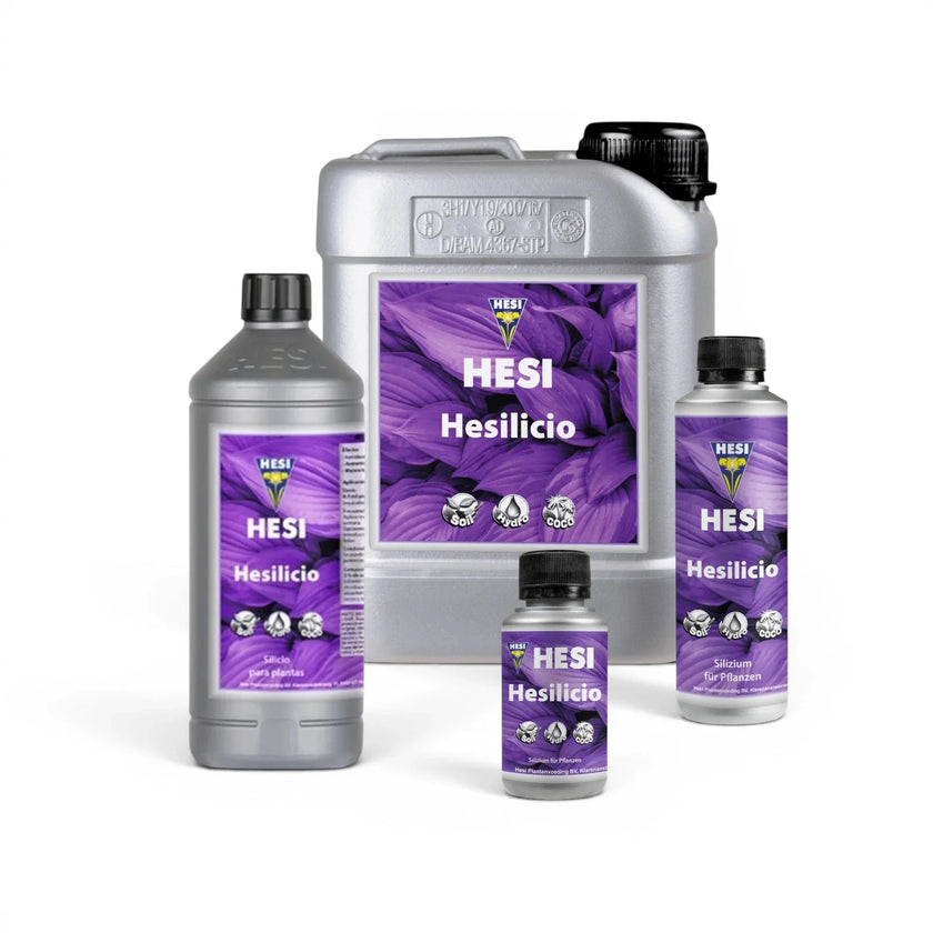HESI Hesilicio bottles in multiple sizes on a white background