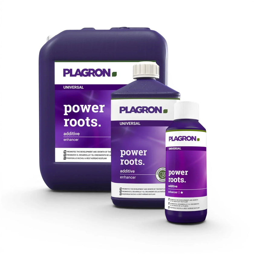 Plagron Power Roots bottles in multiple sizes on a white background