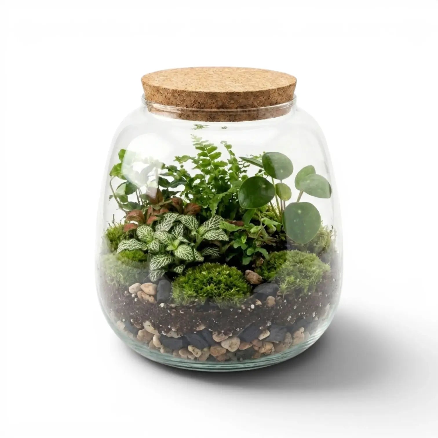 Glasgefäß Richmond mit Korkdeckel und kleinem Terrarium mit Pflanzen auf weißem Hintergrund