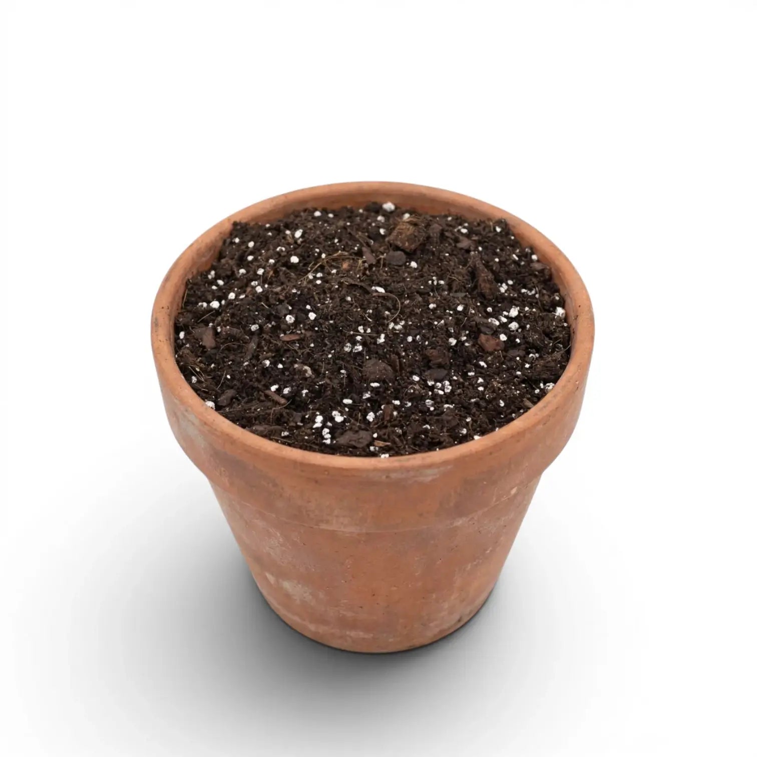 Terracotta pot with Hoya potting mix on a white background