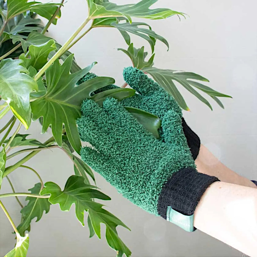 Microfiber Dusting Gloves for Plants on white background.