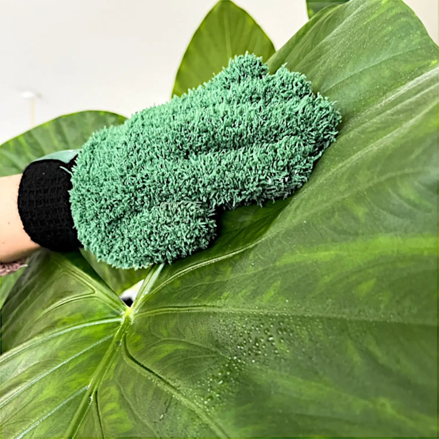 Mikrofaser-Staubhandschuhe für Pflanzen auf weißem Hintergrund, Produktfoto 3.