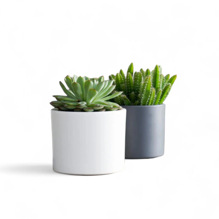 Planter 'Era' on white background.
