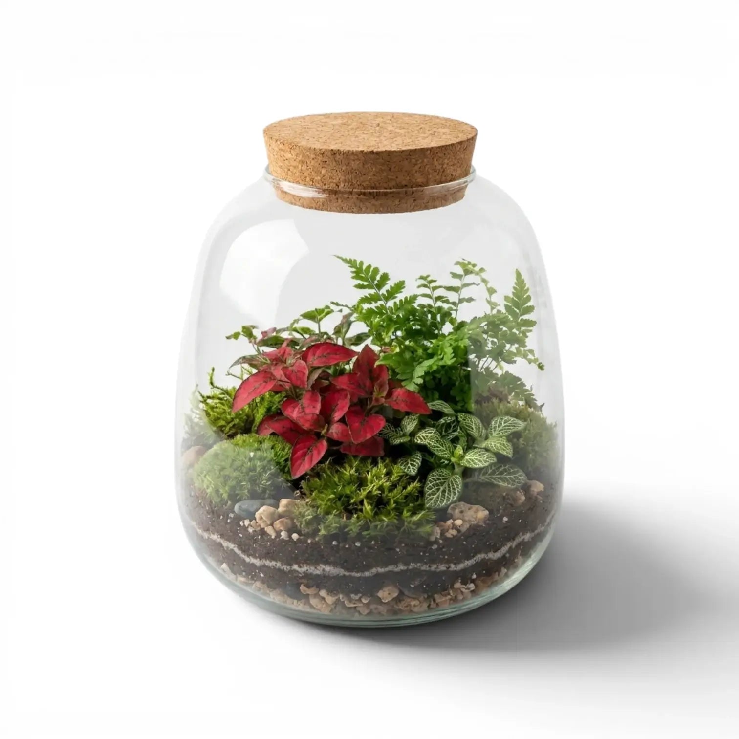 Glas-Terrarium Plant Puzzle mit Pflanzen und Korkdeckel auf weißem Hintergrund
