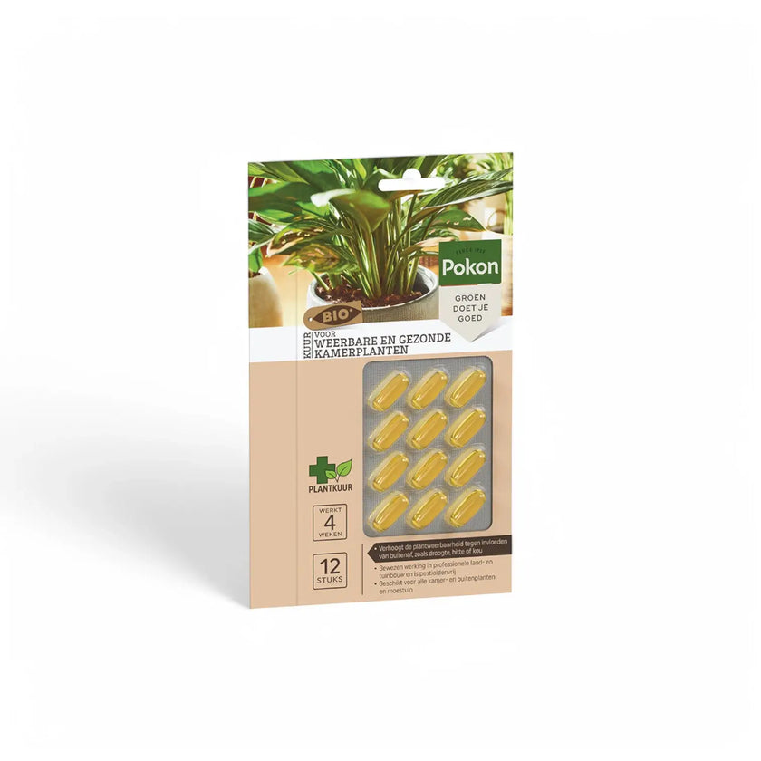 Pokon Bio Pflanzenkur-Kapseln – Hauptproduktfoto vor weißem Hintergrund.