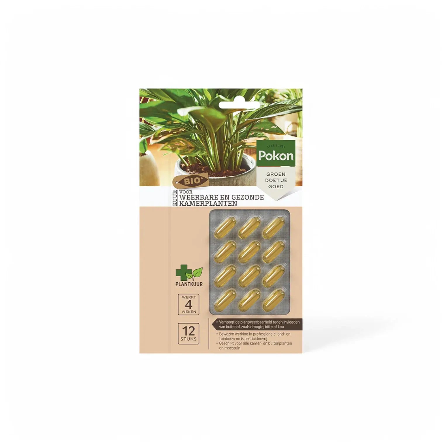 Pokon Bio Plant Cure Capsules on white background.