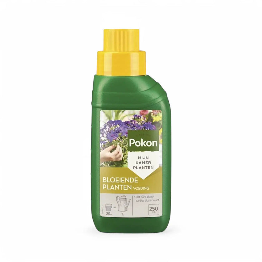 Pokon Dünger für blühende Pflanzen – Hauptproduktfoto vor weißem Hintergrund.