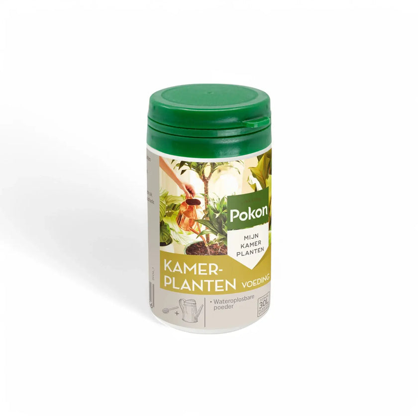 Pokon Zimmerpflanzendünger (Pulver) – Hauptproduktfoto vor weißem Hintergrund.