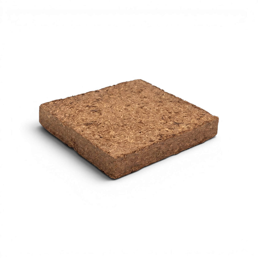 Square piece of compact coconut coir soil on a white background