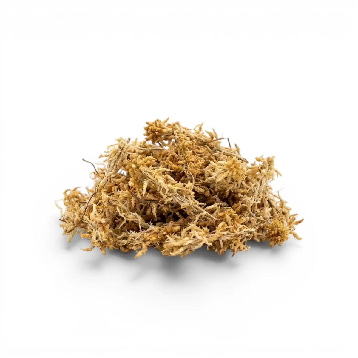 Pile of sphagnum moss on a white background