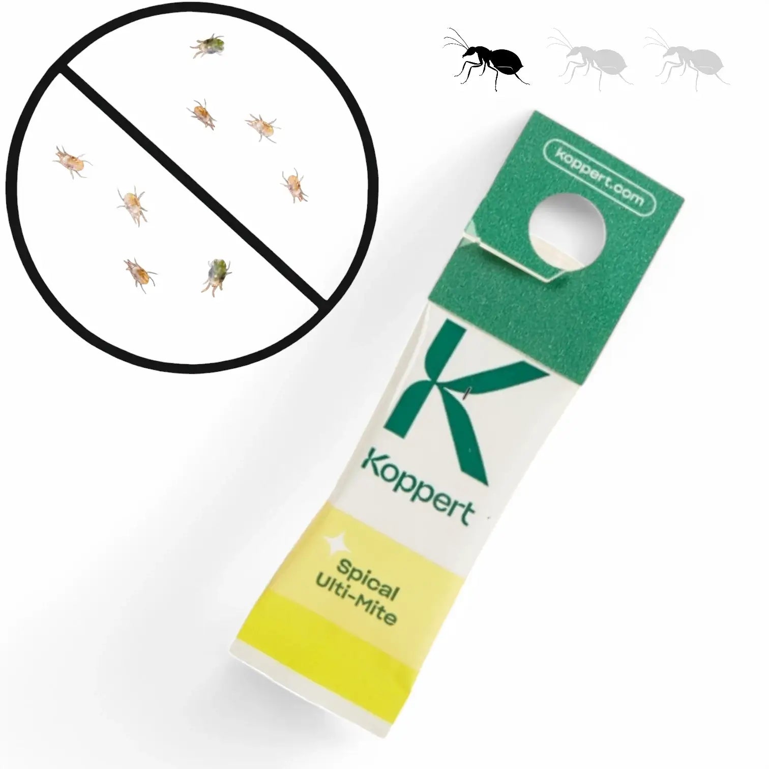 Hauptproduktfoto von Spical (Ulti-Mite) Neoseiulus californicus gegen Spinnmilben vor weißem Hintergrund.