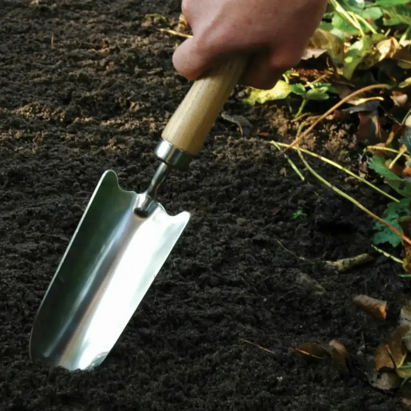 Stainless steel shovel on white background.