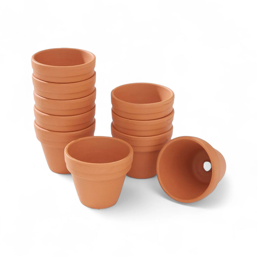 Terracotta pot on white background.