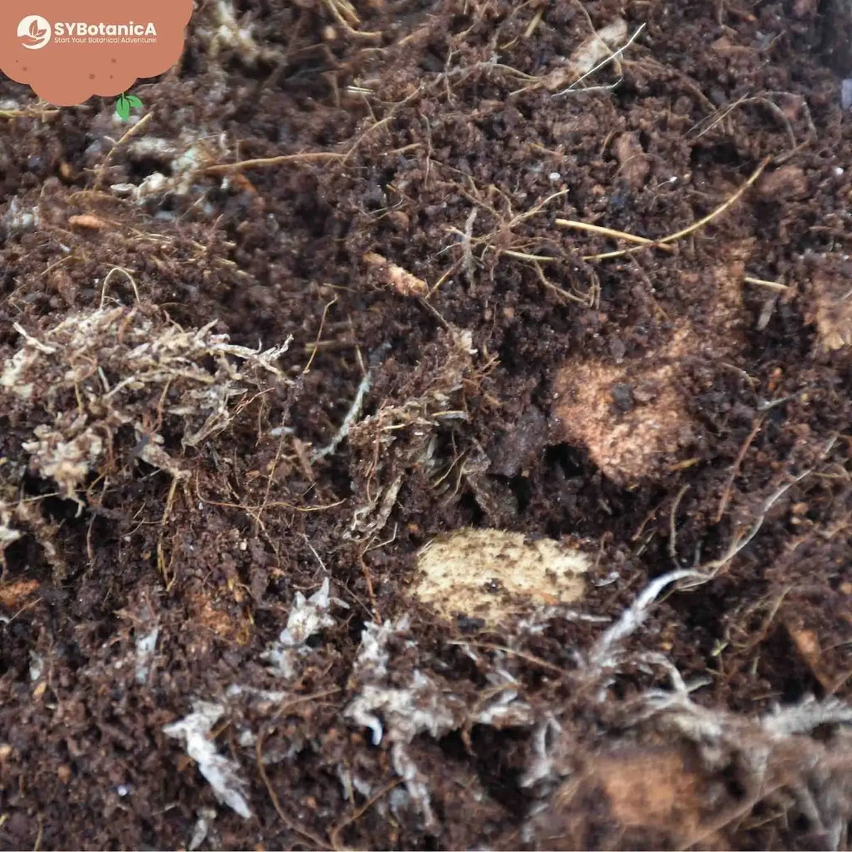 Terrarium-Substratmischung auf weißem Hintergrund, Produktfoto 3.