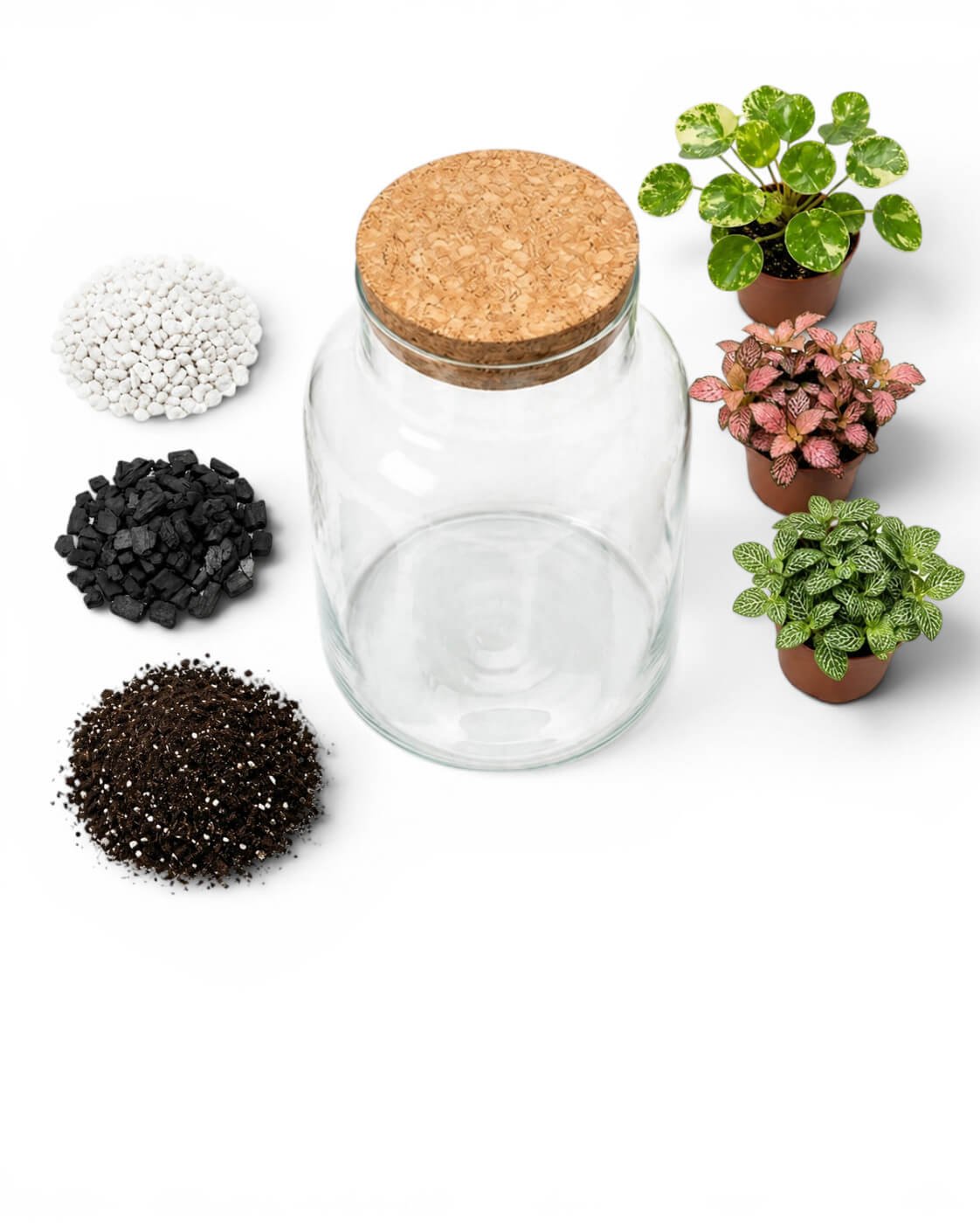 Clear glass jar with cork lid surrounded by small piles of substrates, gravel, activated carbon and soil and three small plants on a white background