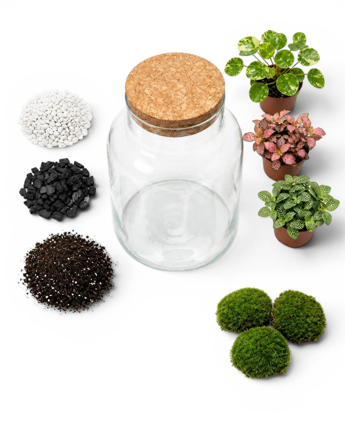 Clear glass jar with cork lid surrounded by small piles of substrates, gravel, activated carbon, soil, small plants and cushion moss on a white background