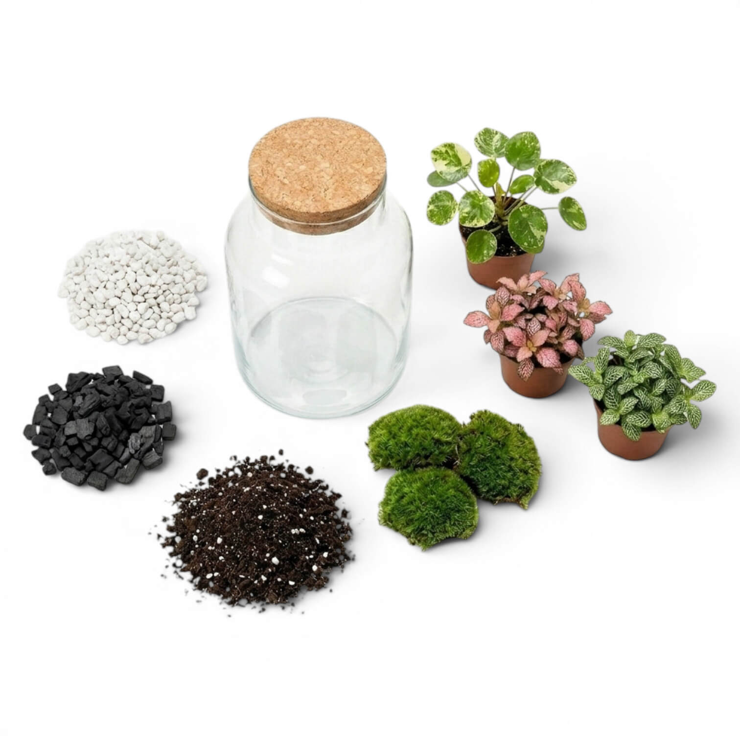 Clear glass jar with cork lid surrounded by small piles of substrates, gravel, activated carbon, soil, small plants and cushion moss on a white background