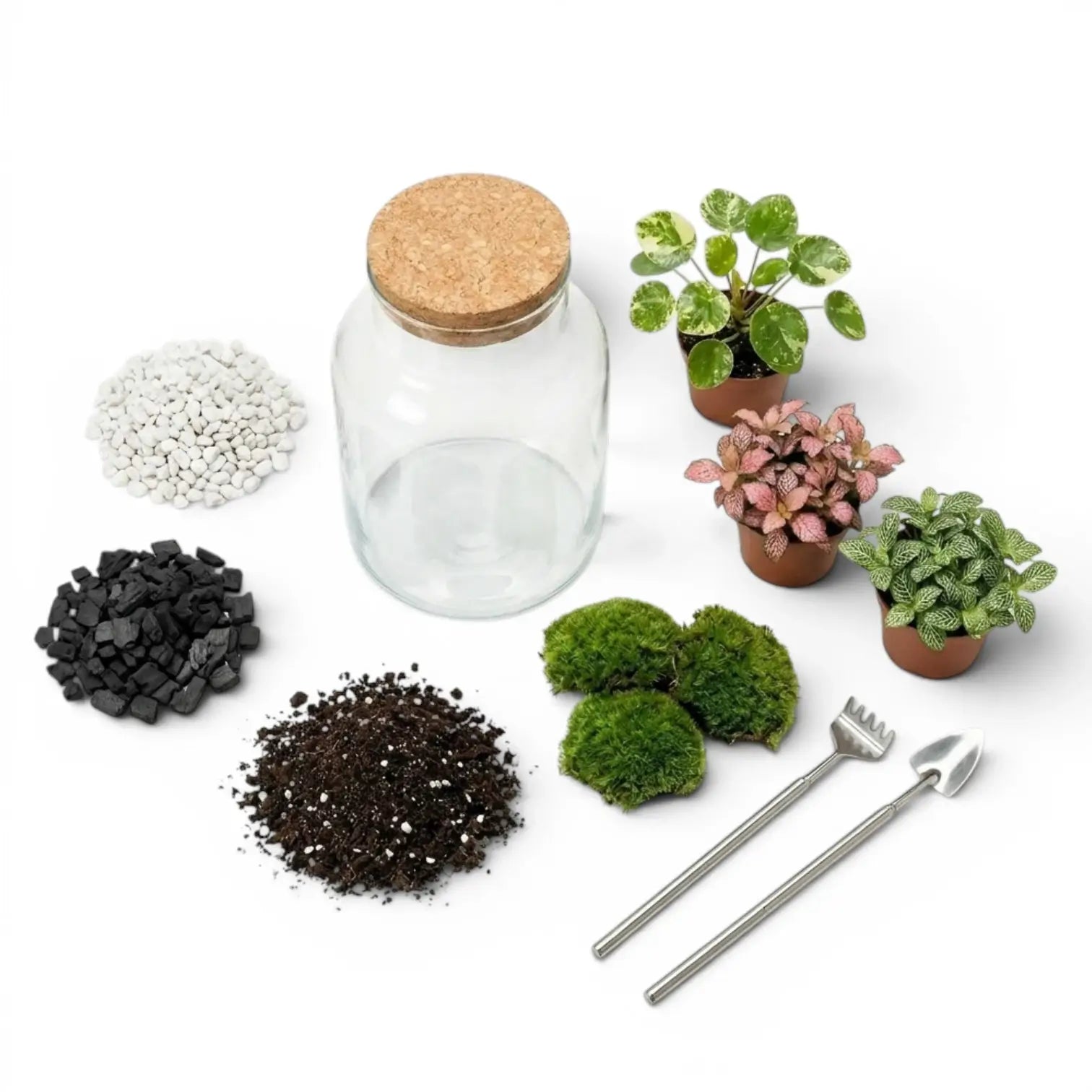 Set of items for terrarium building including a glass jar with a cork lid, small plants, soil, and tools on a white background.
