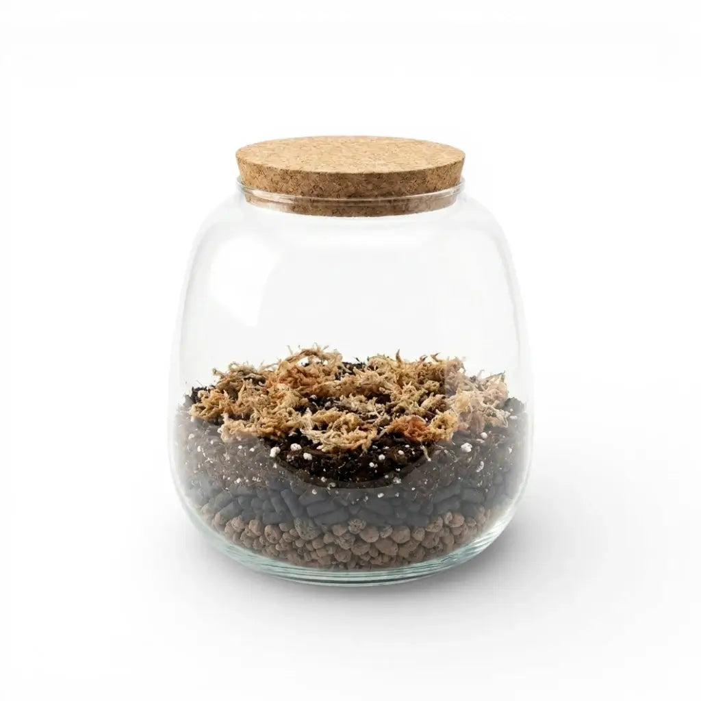 Glasgefäß mit Korkdeckel und Terrarium-Substrat auf weißem Hintergrund