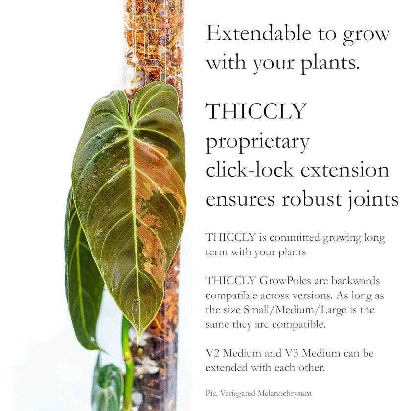 THICCLY® GrowPole™ - The Ultimate Plant Support on white background.
