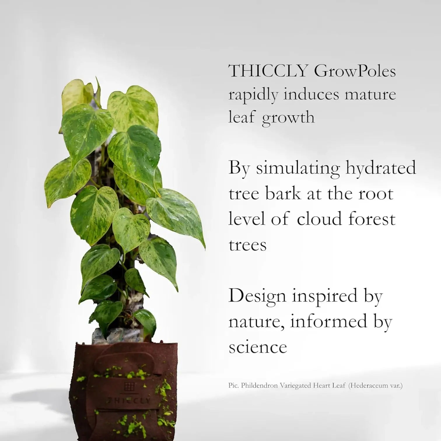 THICCLY® GrowPole™ - The Ultimate Plant Support on white background.