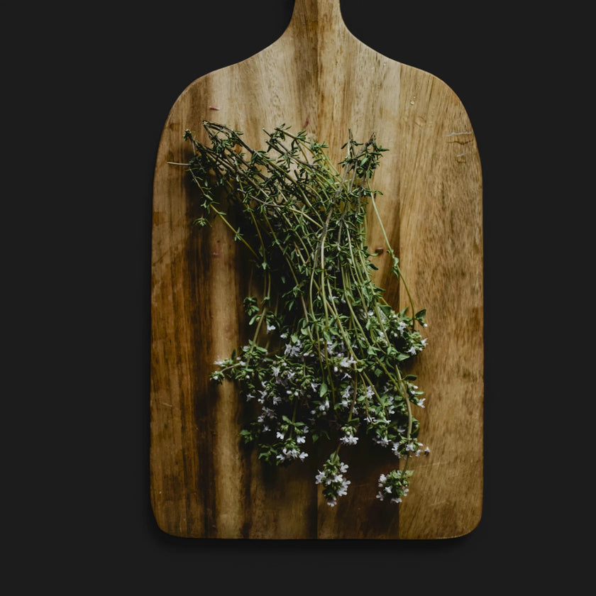 Thymus vulgaris in garden setting.