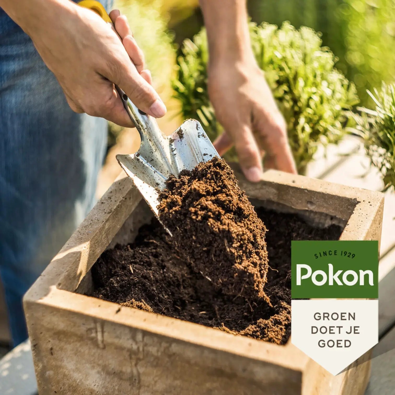 Pokon Universal-Pflanzenerde auf weißem Hintergrund, Produktfoto 2.