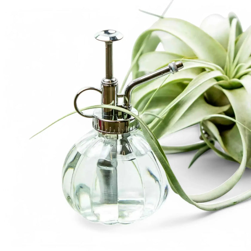 Vintage Glass Mister on white background.