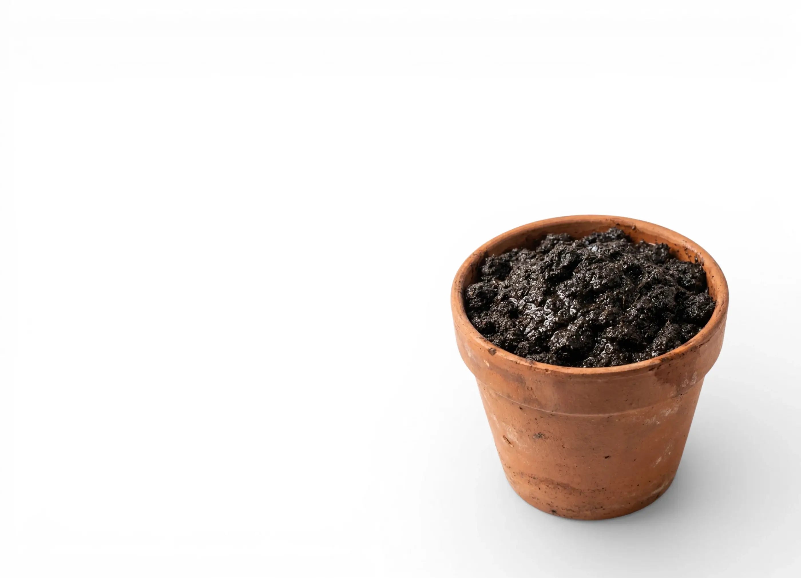 Terracotta pot with wet soil on a white background
