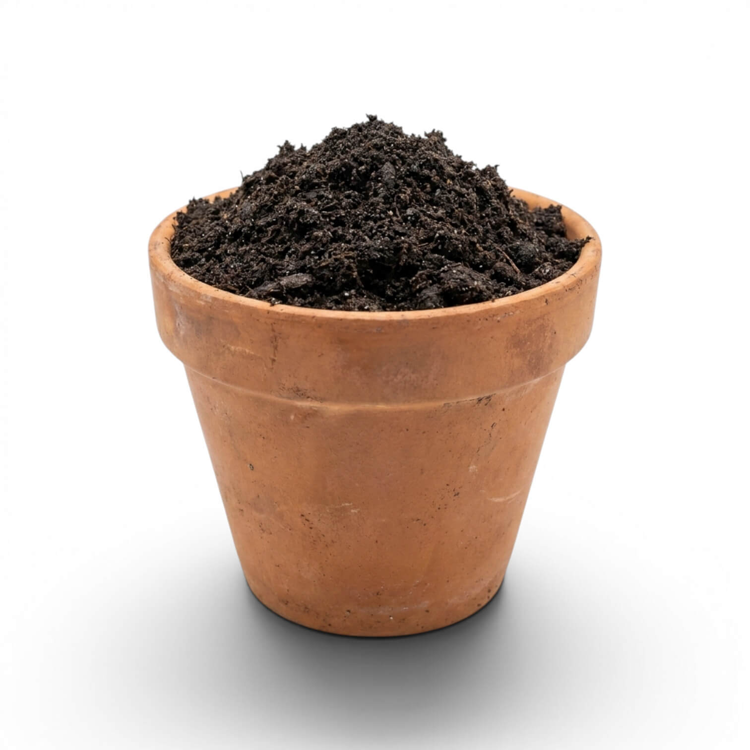 Terracotta pot filled with worm castings on a white background