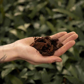 Pine Bark on white background, product photo 3.