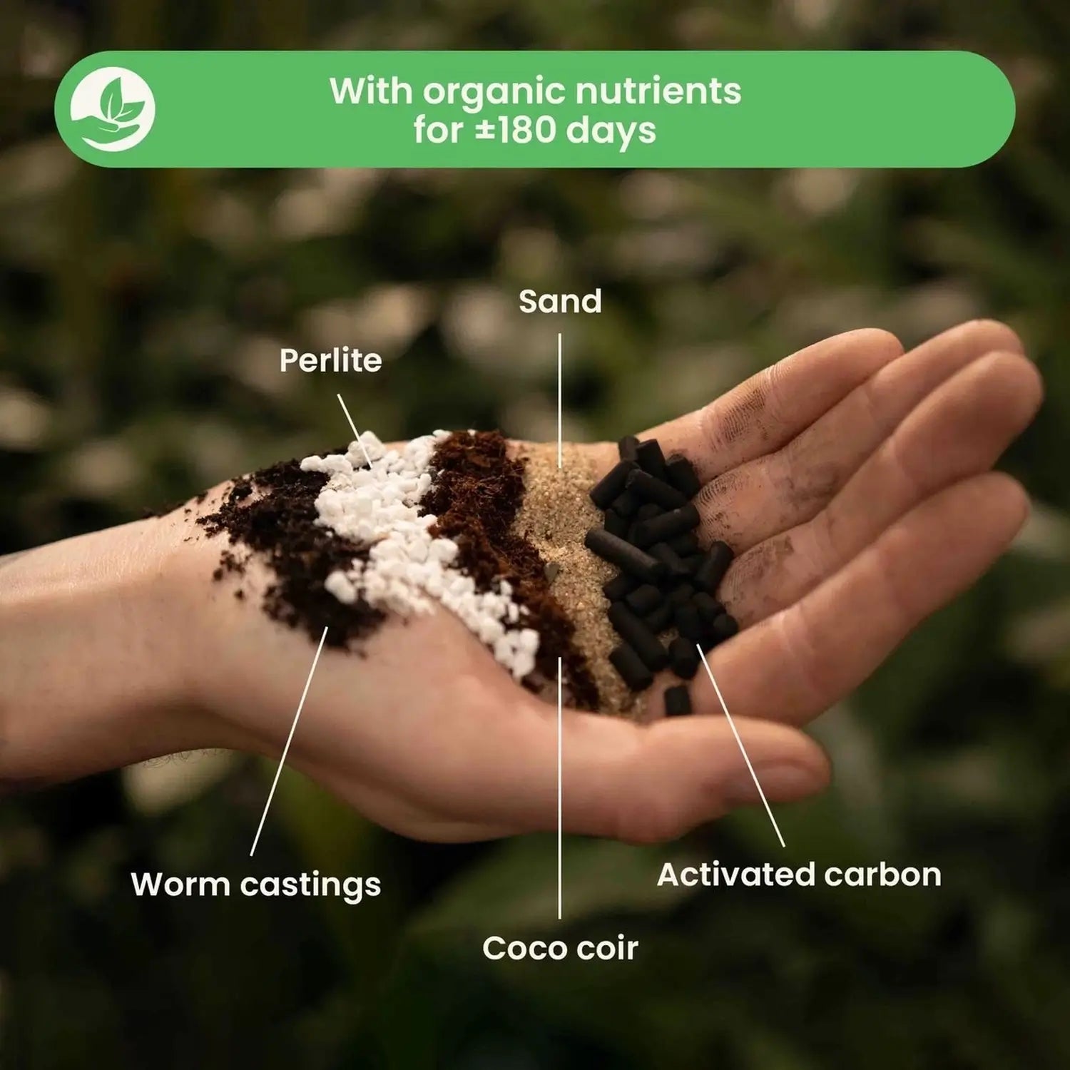 Farn-Substratmischung vor weißem Hintergrund, Produktfoto 3.