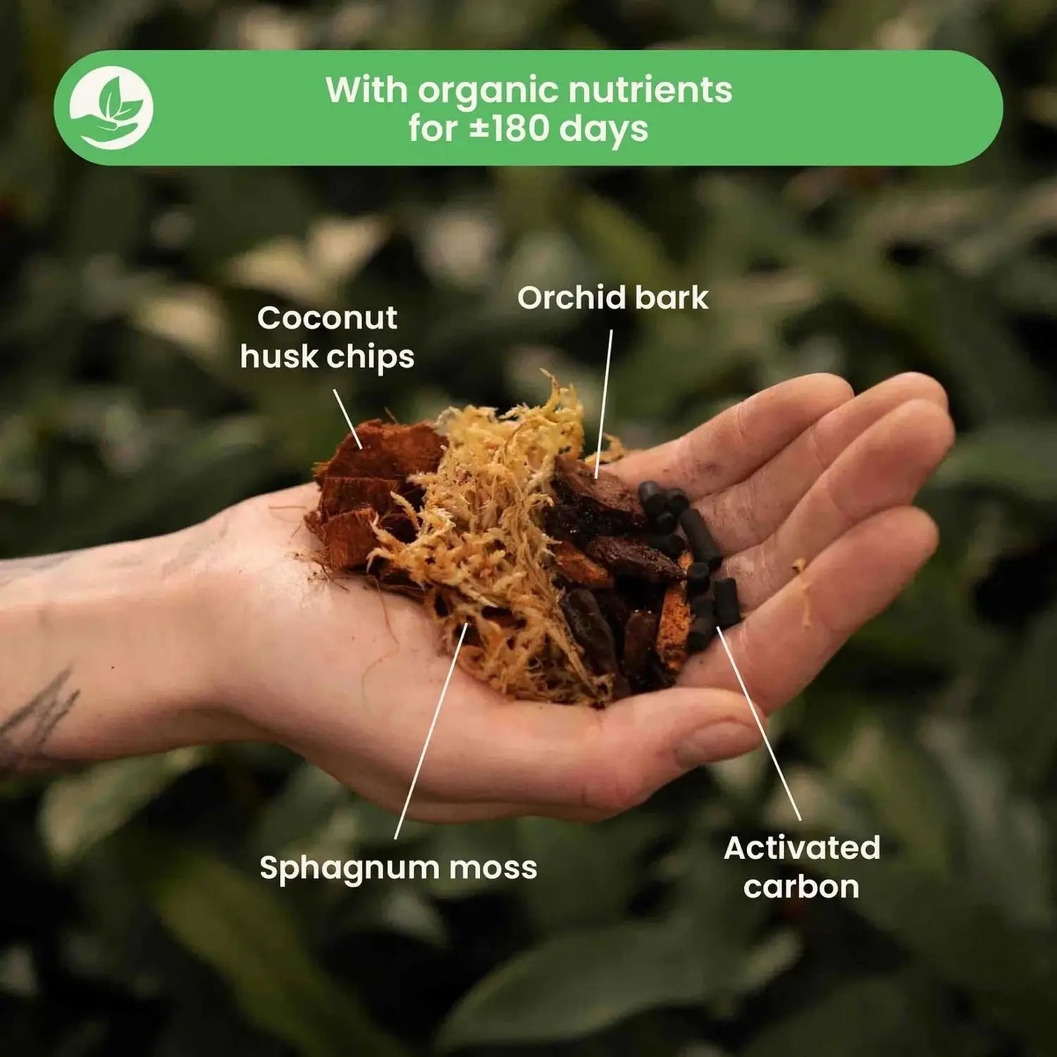 Orchideen-Substratmischung auf weißem Hintergrund, Produktfoto 3.