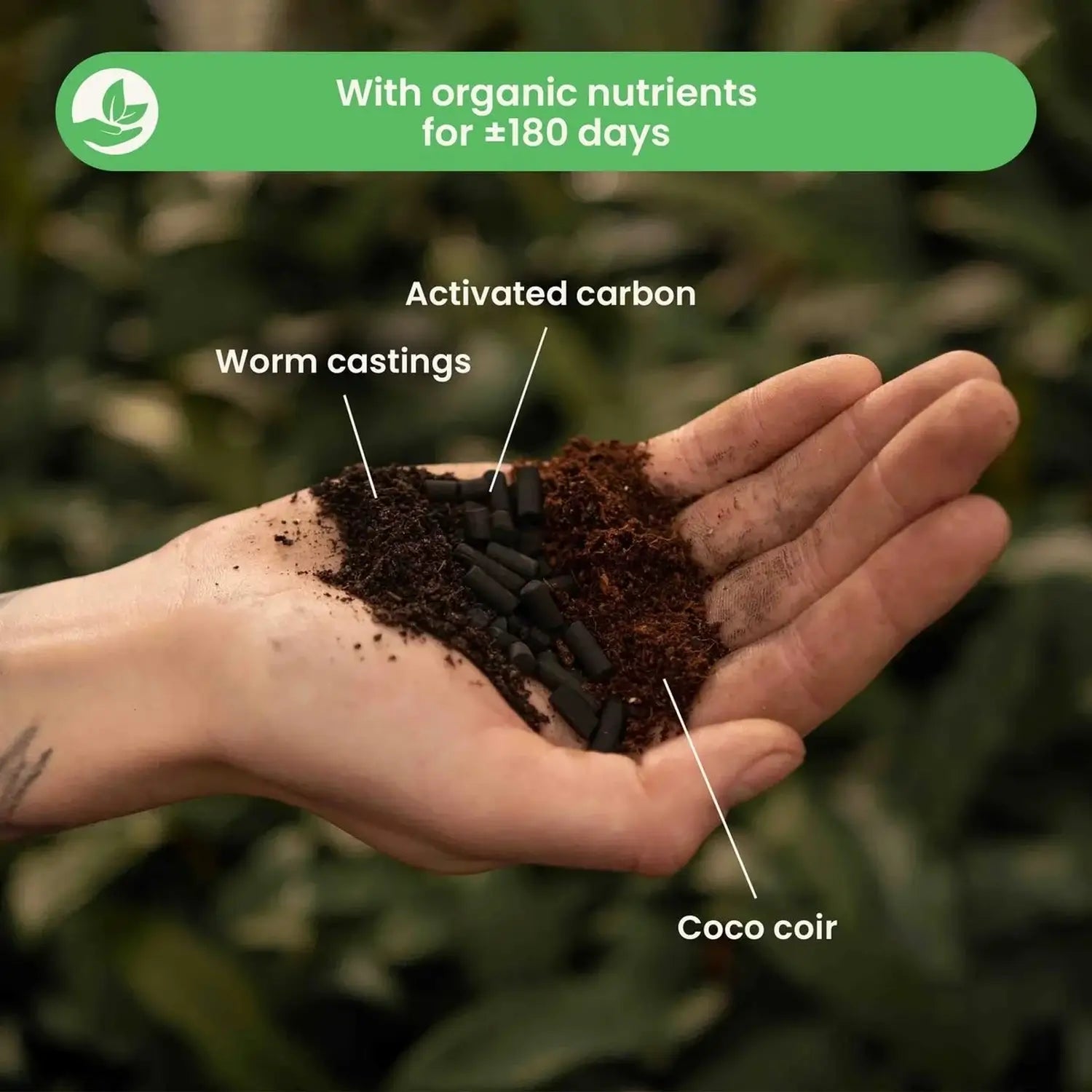 Basis-Substratmischung auf weißem Hintergrund, Produktfoto 2.