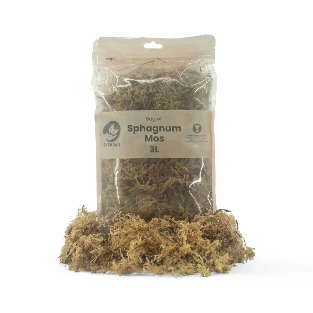 Sphagnum moss main product photo on white background.