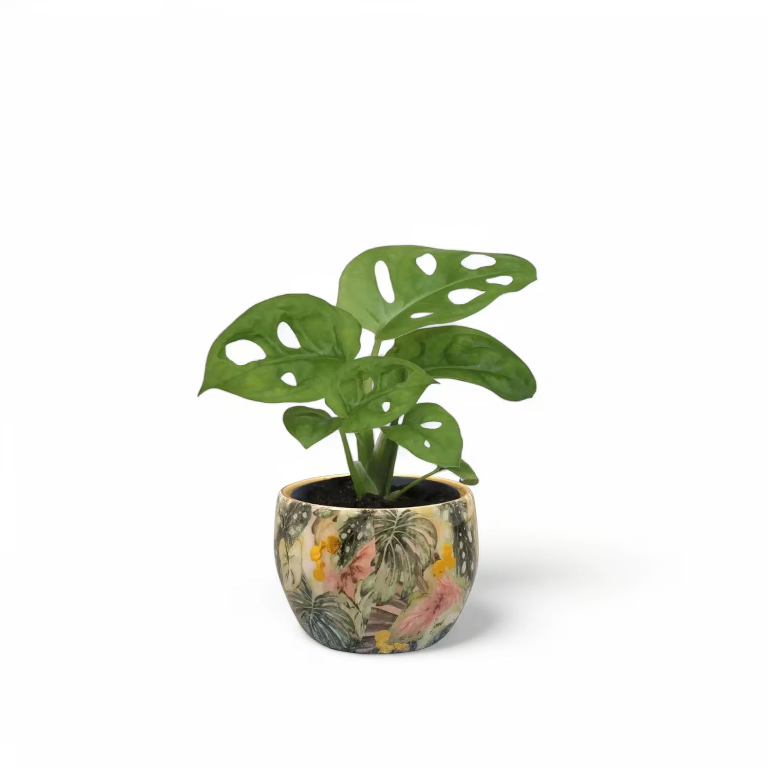 Übertopf 'Monstera Mystery' vor weißem Hintergrund, Produktfoto 3.