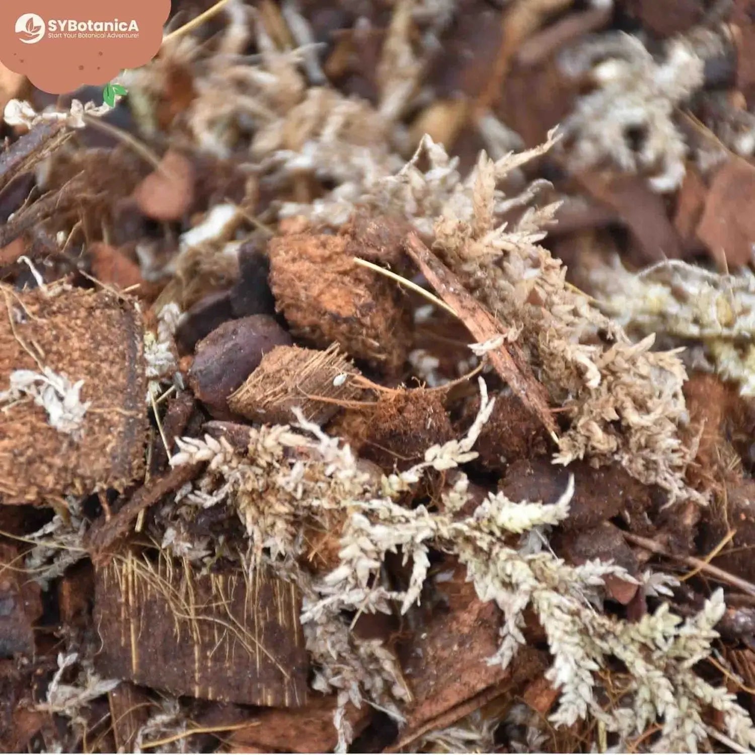 Orchideen-Substratmischung auf weißem Hintergrund, Produktfoto 10.