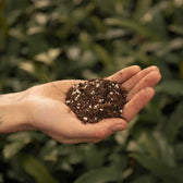 Ficus-Substratmischung vor weißem Hintergrund, Produktfoto 3.