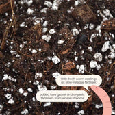 Substratmischung für Aronstabgewächse auf weißem Hintergrund, Produktfoto 3.