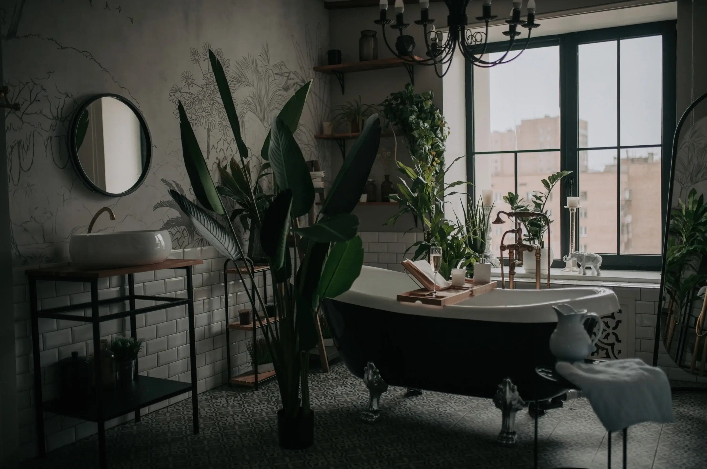 Houseplant care article about why room labels do not decide plant placement