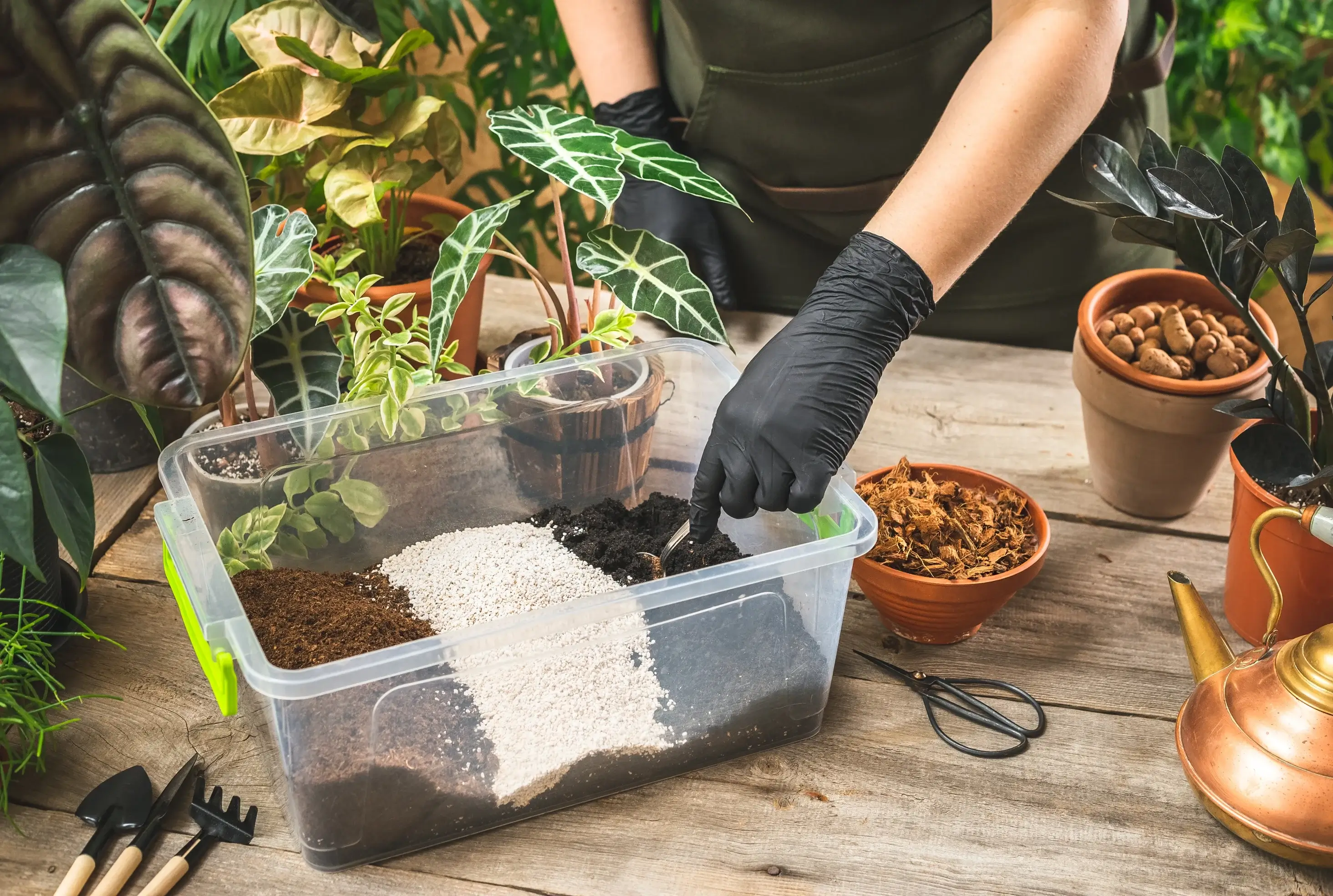 Person preparing soil in a container with gardening tools and plants on a wooden table.