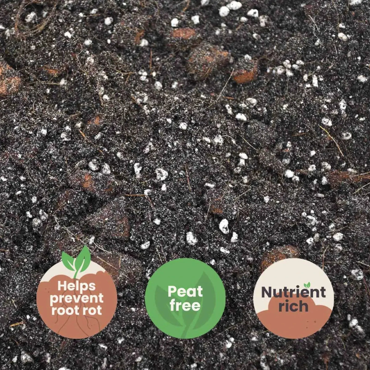 Ficus-Substratmischung vor weißem Hintergrund, Produktfoto 5.