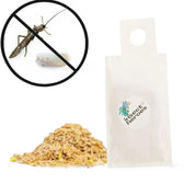 Amblyseius swirskii – Biological Control for Thrips & Whiteflies main product photo on white background.