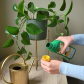 Pokon Green Plants Food on white background, product photo 3.