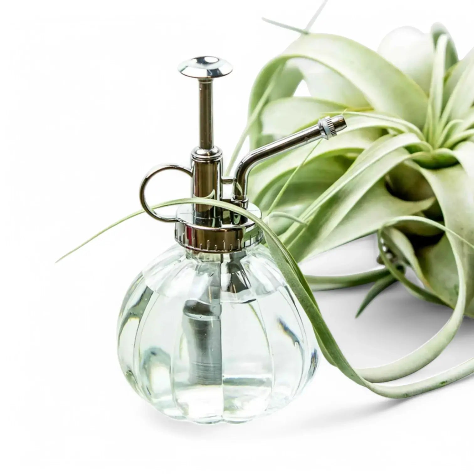 Vintage Glass Mister on white background, product photo 2.