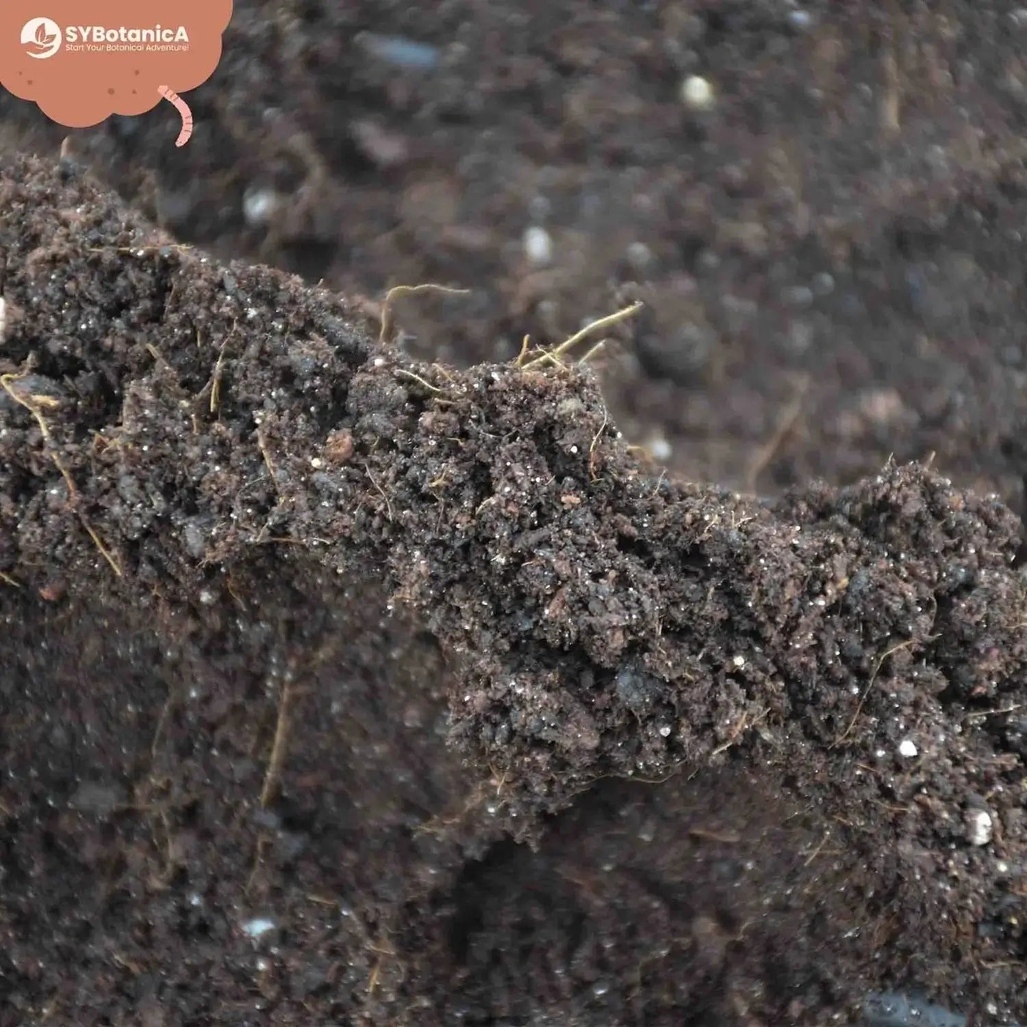 Basis-Substratmischung auf weißem Hintergrund, Produktfoto 5.