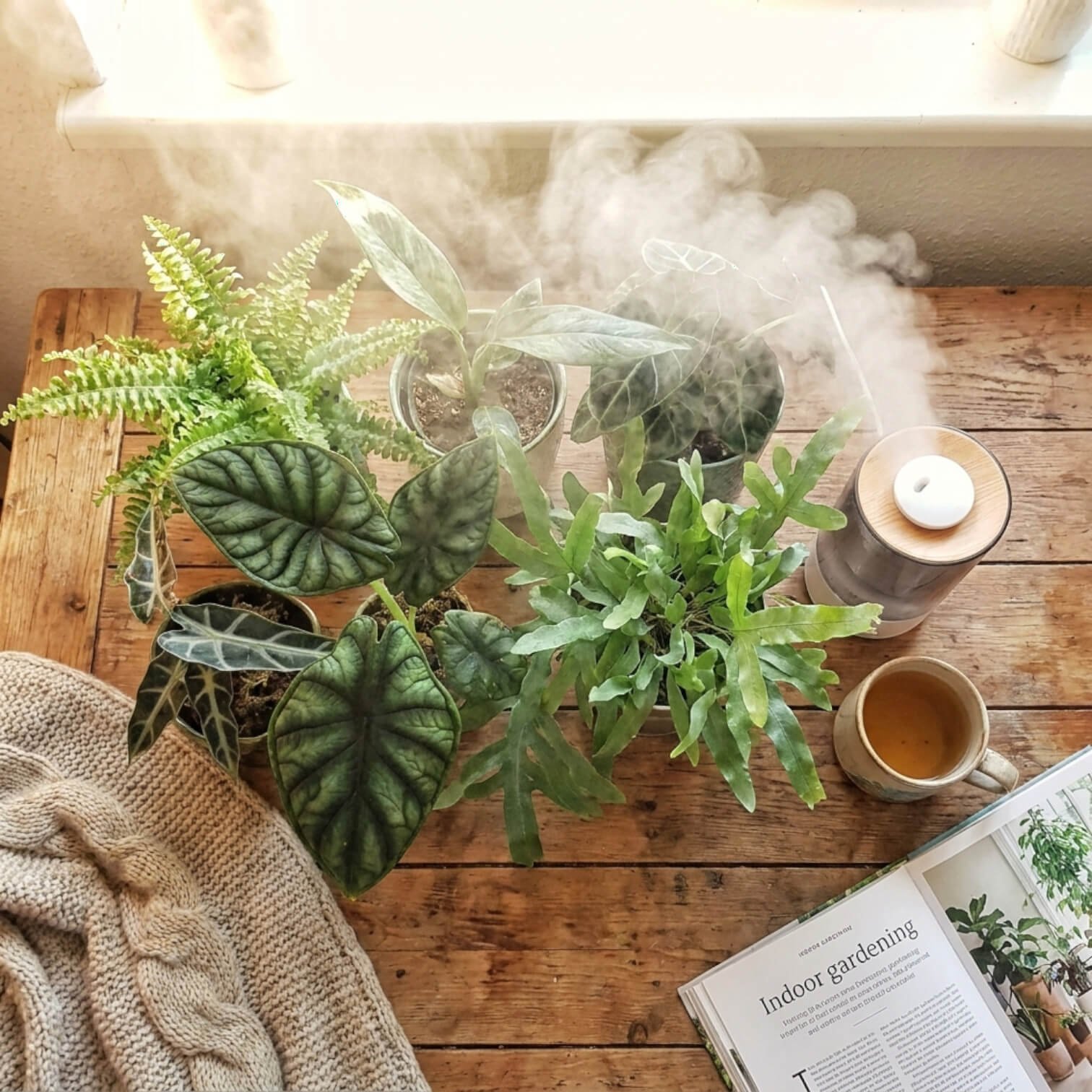 Plants on a wooden table with a diffuser and a cup, surrounded by a cozy atmosphere.