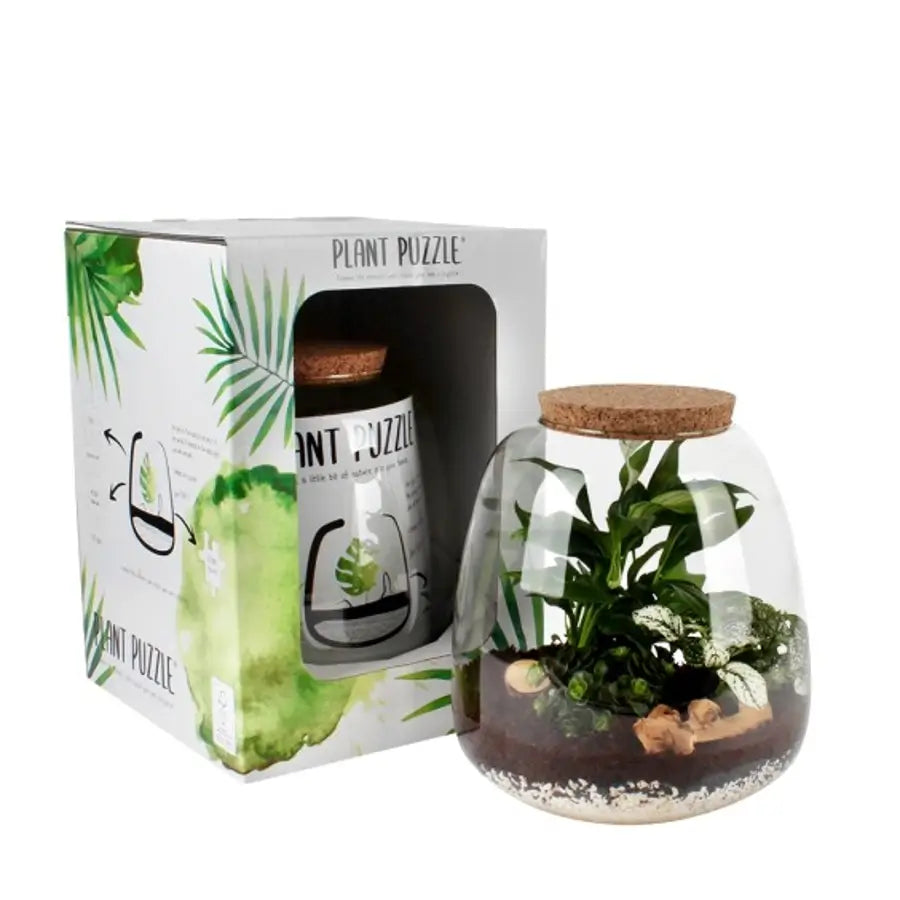 Basic Plant Puzzle Set on white background, product photo 4.