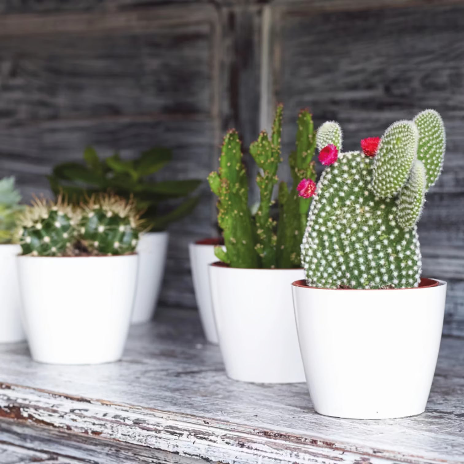 Planter 'San Remo' on white background, product photo 7.